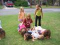 thumbs/IMG_1812.jpg