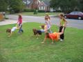 thumbs/IMG_1823.jpg