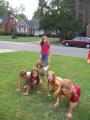 thumbs/IMG_1825.jpg