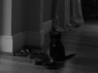 thumbs/IMG_1875.jpg
