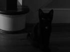 thumbs/IMG_1877.jpg