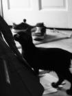 thumbs/IMG_1878.jpg