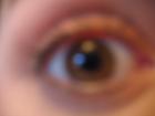 thumbs/IMG_1921.jpg