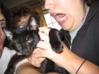 thumbs/IMG_2047.jpg