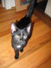 thumbs/IMG_2053.jpg