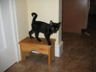 thumbs/IMG_2054.jpg