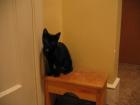 thumbs/IMG_2055.jpg