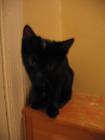 thumbs/IMG_2056.jpg