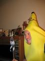 thumbs/IMG_2080.jpg