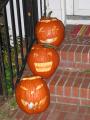 thumbs/IMG_2116.jpg