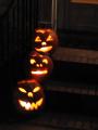 thumbs/IMG_2117.jpg