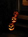 thumbs/IMG_2120.jpg