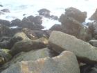 thumbs/dsc00500.jpg