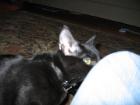 thumbs/IMG_2177.jpg