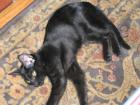 thumbs/IMG_2179.jpg
