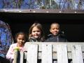 thumbs/img_2371.jpg