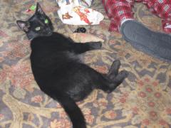 thumbs/img_2510.jpg