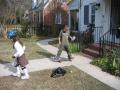thumbs/img_2542.jpg