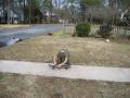 thumbs/img_2549.jpg