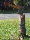 thumbs/pic20061029T140059-0043.jpg