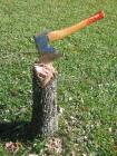 thumbs/pic20061029T140142-0048.jpg
