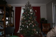 thumbs/pic20061225T114426.jpg