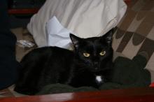 thumbs/pic20061225T133324.jpg