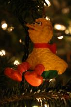 thumbs/pic20061225T173552.jpg
