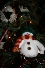 thumbs/pic20061225T175032.jpg