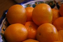 thumbs/pic20061226T141246.jpg