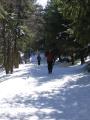 thumbs/img_2681.jpg