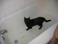 thumbs/img_2757.jpg