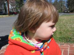 thumbs/img_3037.jpg