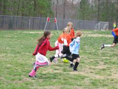 thumbs/img_3120.jpg