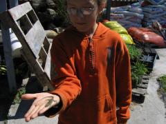 thumbs/img_3154.jpg
