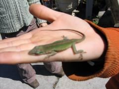thumbs/img_3155.jpg