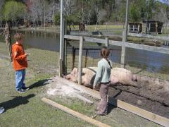 thumbs/img_3156.jpg