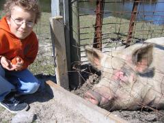 thumbs/img_3160.jpg
