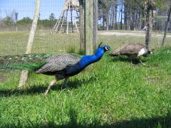thumbs/img_3164.jpg