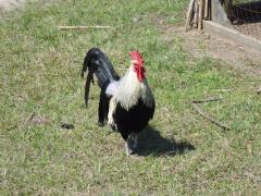 thumbs/img_3168.jpg