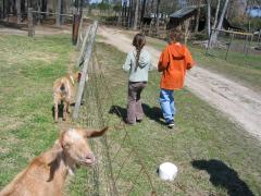 thumbs/img_3169.jpg