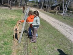 thumbs/img_3170.jpg