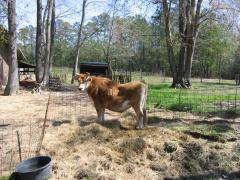 thumbs/img_3171.jpg