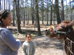 thumbs/img_3177.jpg