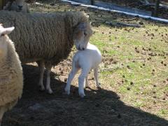 thumbs/img_3189.jpg