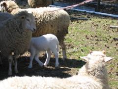 thumbs/img_3192.jpg