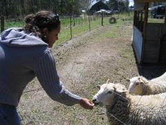 thumbs/img_3193.jpg