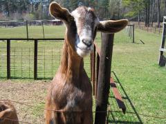 thumbs/img_3197.jpg