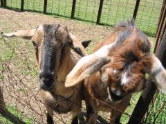 thumbs/img_3198.jpg