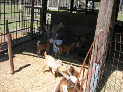thumbs/img_3200.jpg
